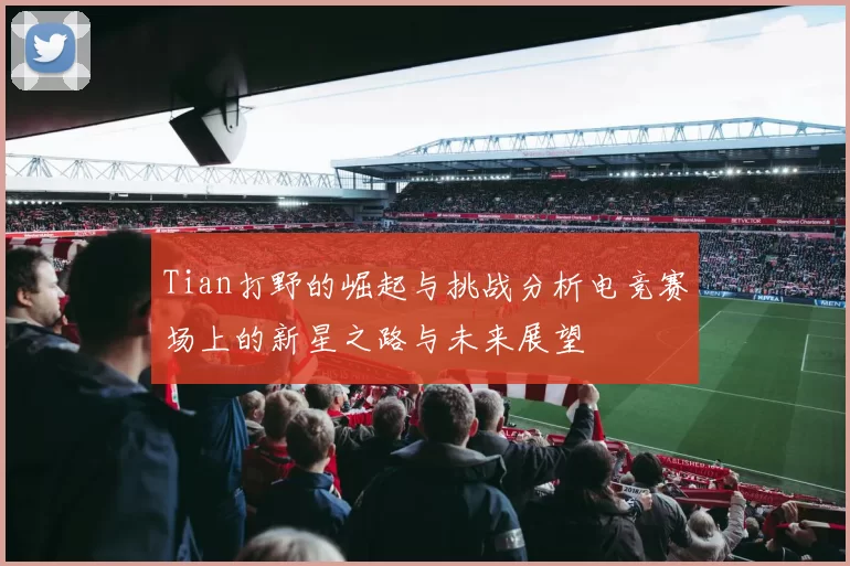 Tian打野的崛起与挑战分析电竞赛场上的新星之路与未来展望