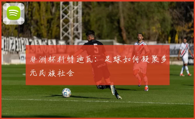 非洲杯科特迪瓦：足球如何凝聚多元民族社会