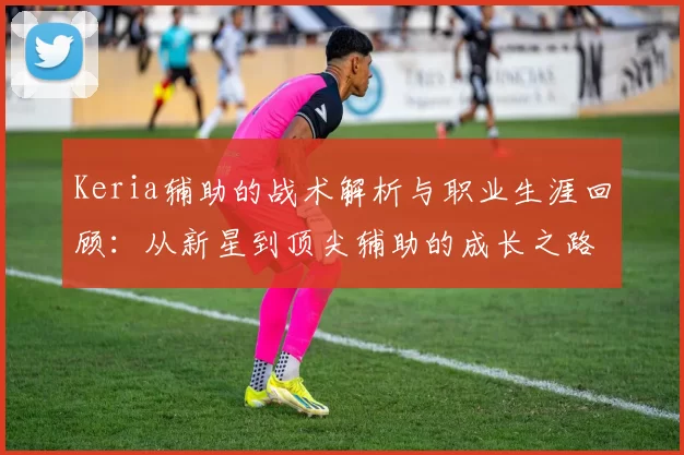 Keria辅助的战术解析与职业生涯回顾：从新星到顶尖辅助的成长之路