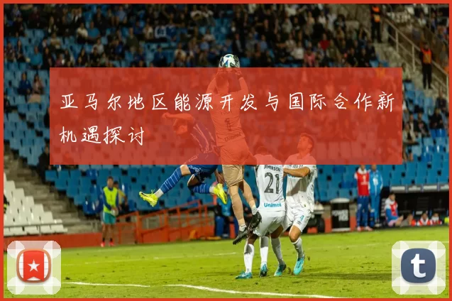 亚马尔地区能源开发与国际合作新机遇探讨
