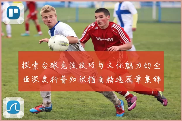 探索台球竞技技巧与文化魅力的全面深度科普知识指南精选篇章集锦