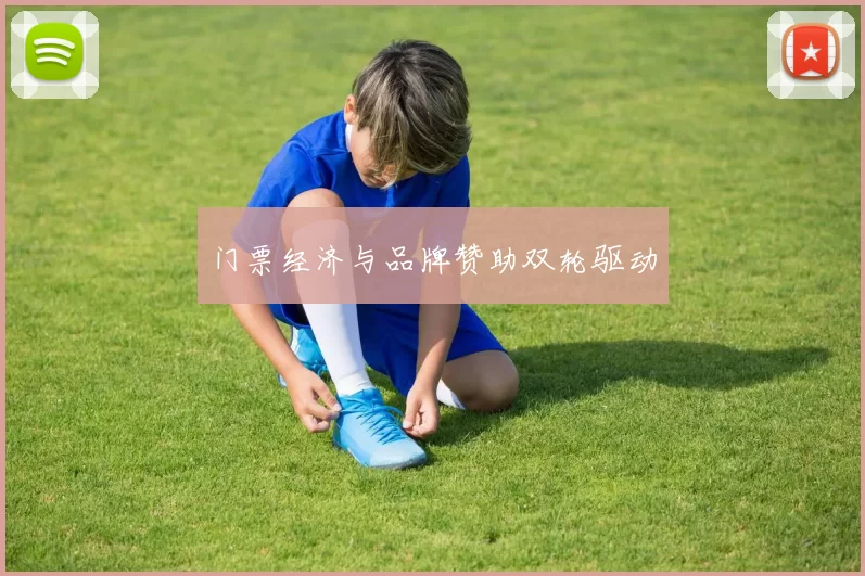 门票经济与品牌赞助双轮驱动