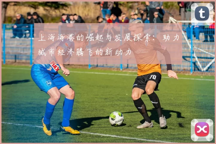 上海海港的崛起与发展探索：助力城市经济腾飞的新动力