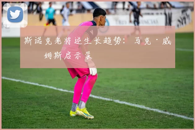斯诺克老将逆生长趋势：马克·威廉姆斯启示录