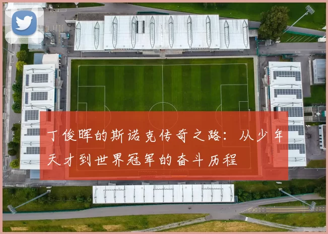 丁俊晖的斯诺克传奇之路：从少年天才到世界冠军的奋斗历程